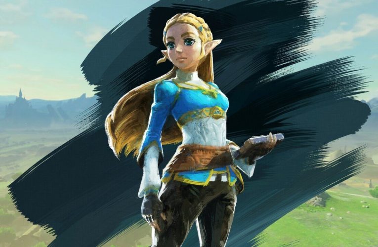 What It Takes To Be A Zelda: Breath Of The Wild World Record Speedrunner