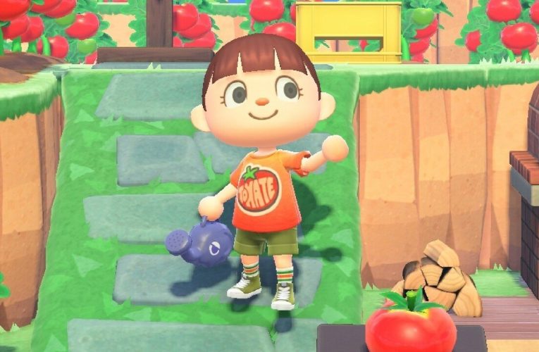 Animal Crossing: New Horizons Is Celebrating Tomato-Throwing With A Tomato T-Shirt