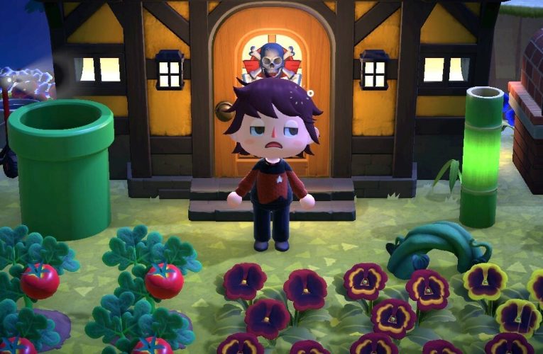 Poll: One Year After The DLC, Are You Still Playing Animal Crossing: New Horizons?