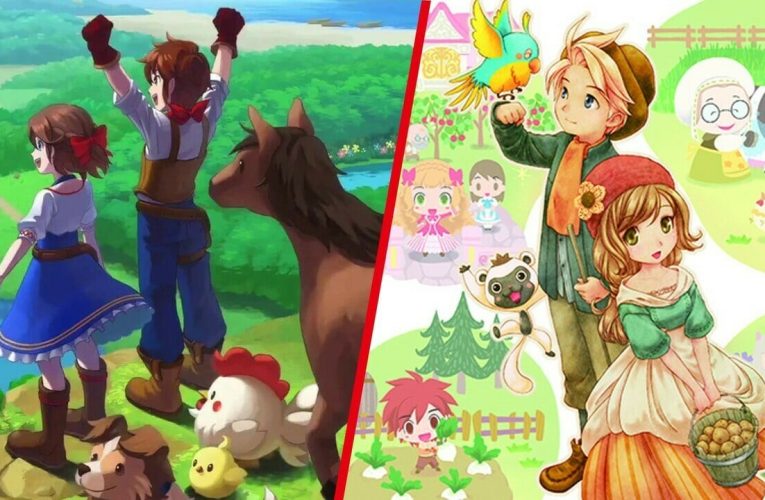 Was ist der Unterschied zwischen Story Of Seasons und Harvest Moon?? Ein praktischer Erklärer
