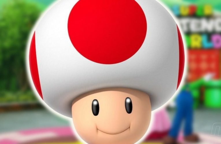 Random: Toad’s Voice Is Both Adorable And Irritating At Super Nintendo World