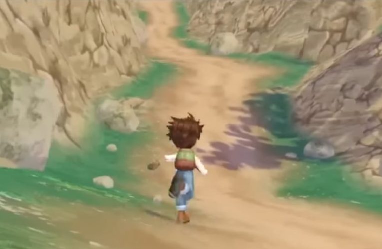 Remember That Inaccessible Path In Harvest Moon: A Wonderful Life? The Remake Might Change That