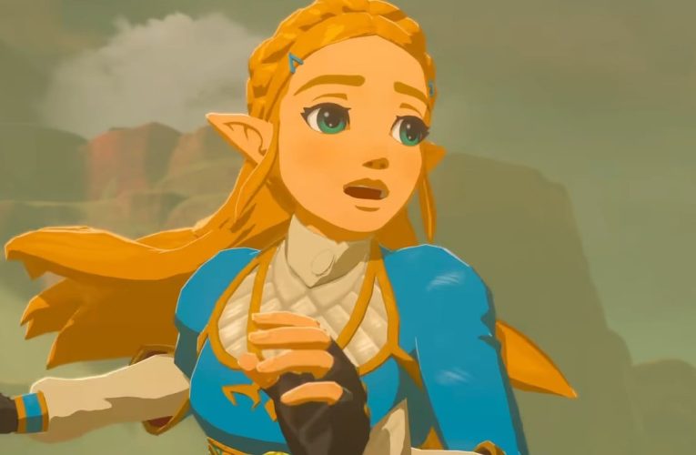 Random: Zelda BOTW Speedrunner Beats Game 50 Times In Less Than 24 Hours