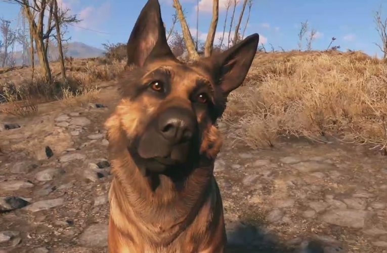Bethesda adds the Fallout 4 graphics settings the community wanted from the first next-gen update, but the devs “highly recommend” you don’t use them