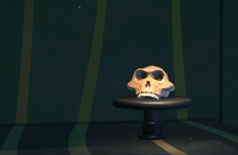 Gallery: Check Out The Animal Crossing: New Horizons Museum In First-Person Mode