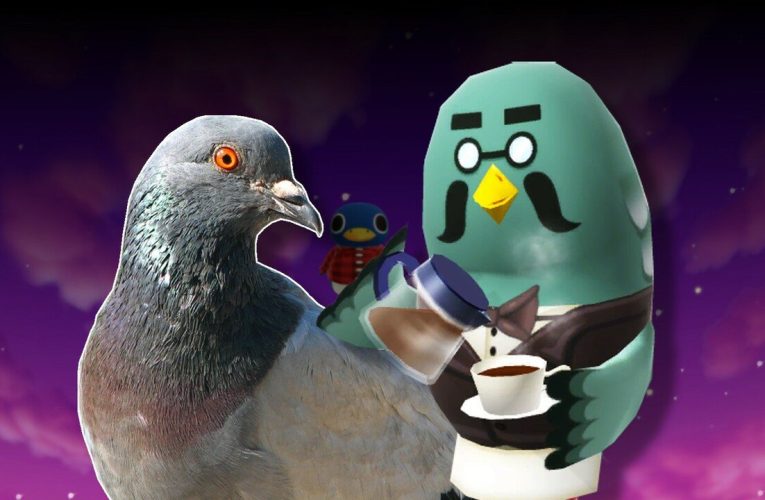 The Dark Secrets Of Brewster’s ‘Pigeon Milk’ In Animal Crossing